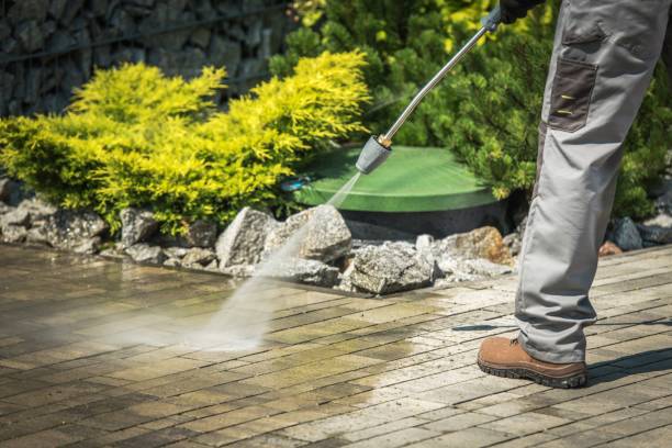Best Winterizing Services  in Thompson, ND