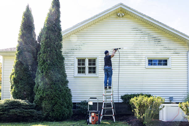 Best Sign and Awning Cleaning  in Thompson, ND
