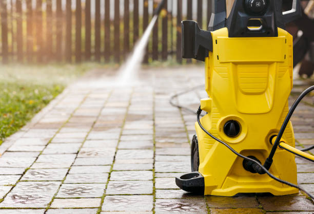 Best Animal Enclosure Cleaning  in Thompson, ND